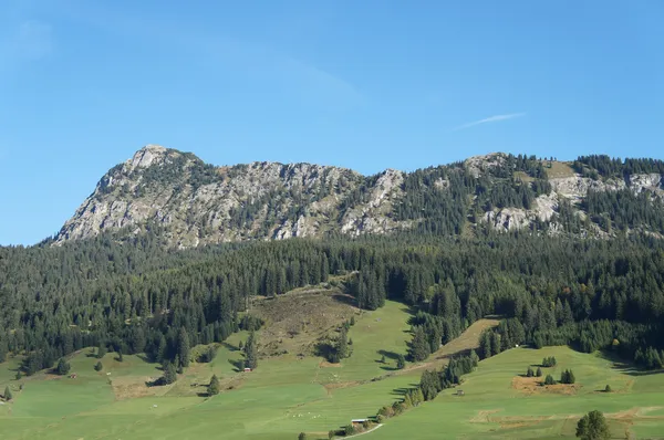 The Einstein in the Tannheim Valley in Tyrol — Stockfoto
