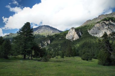 pastoral dağ dünya