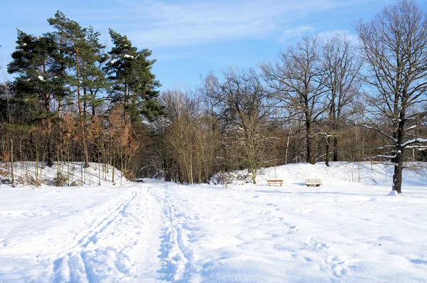 Idyllische Winterlandschaft — Stockfoto
