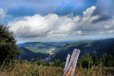 Landscape in the Black Forest, Germany clipart