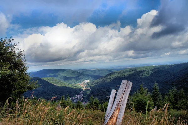 Landskap i den svart skogen, Tyskland — Stockfoto