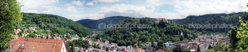 Town and Castle Neuenbuerg, Germany