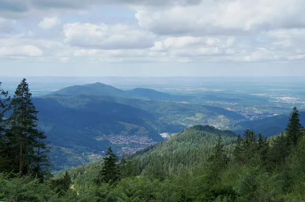 Krajina v černém lese, Německo — Stock fotografie