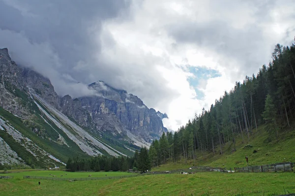 Um vale idílico no Tirol, Áustria — Fotografia de Stock