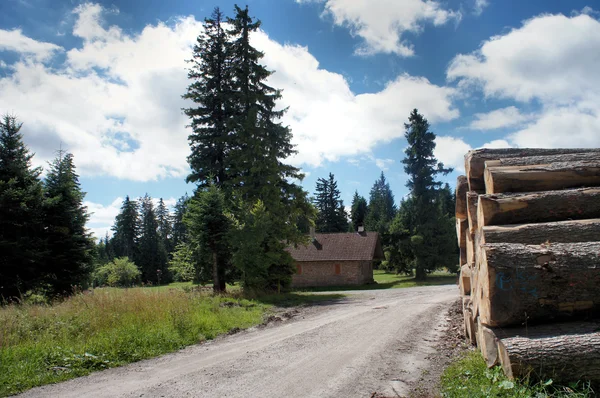 A a westweg, a Fekete-erdő, Németország — Stock Fotó