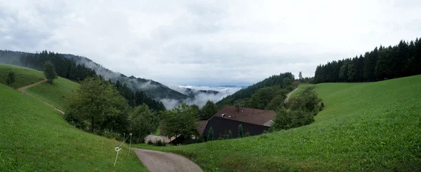 Panoramisch in de ochtend in het Zwarte Woud, Duitsland — Stockfoto