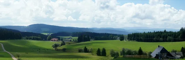 Panoramik Kuzey Kara Orman, Almanya — Stok fotoğraf
