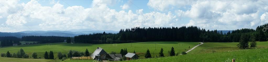 Panorama of the Black Forest