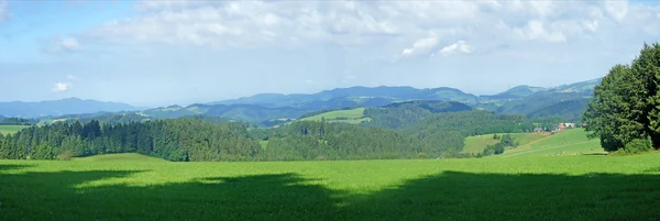 Panoramik Kara Orman, Almanya — Stok fotoğraf