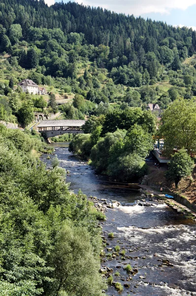 Valley in the Black Forest — Stock Photo, Image