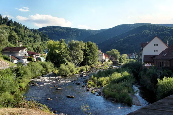 Murg dalen i den svart skogen — Stockfoto