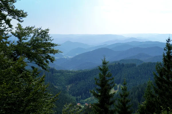 Endless widths in the Black Forest in Germany — Stock Photo, Image