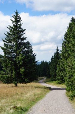 westweg Kara Orman, Almanya