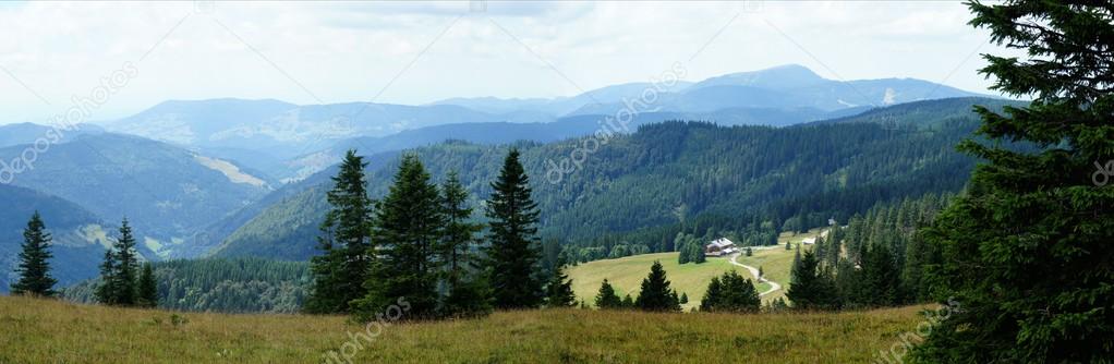 Panoramic of the Black Forest, Germany