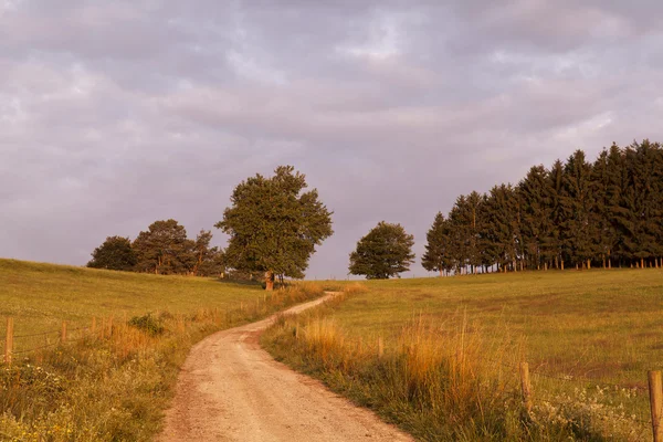 Rural road at sunrise — Stock Photo, Image