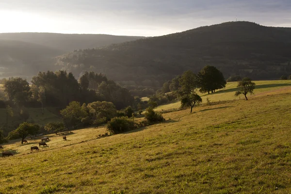 Nascer do sol nas montanhas — Fotografia de Stock