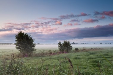 gizemli drenthe puslu sabah
