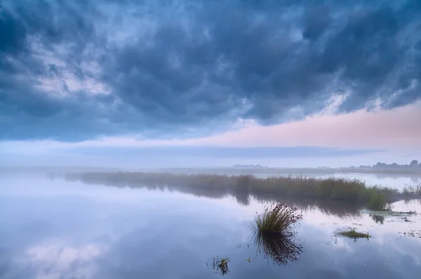 早朝の霧の湖 — ストック写真
