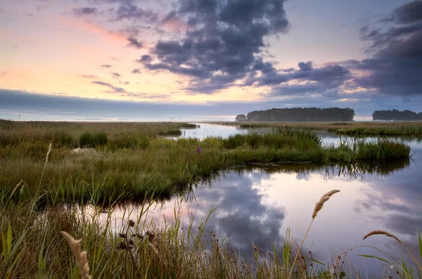 Lekstermeer lake in Drenthe — Stockfoto