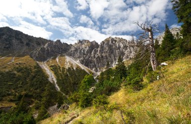 Bavyera Alpleri kayalarda