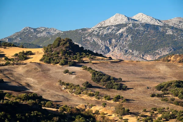 Montagnes et champs en Andalousie — Photo