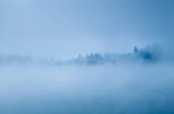 Floresta no nevoeiro da manhã — Fotografia de Stock