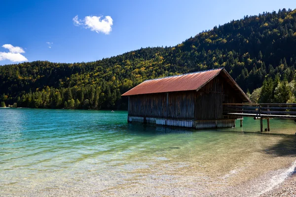 Holzfischer — Stockfoto