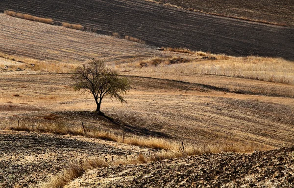 Geploegd velden in Andalusië — Stockfoto