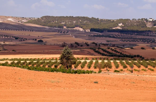 Typisch spanische ländliche Landschaft — Stockfoto