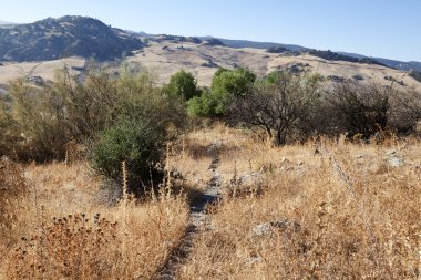 Kuru İspanyol yaylaları