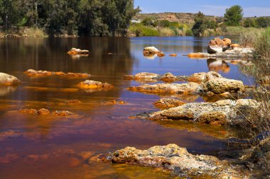 Asidik rio () Nehri Tinto Niebla (Huelva içinde)
