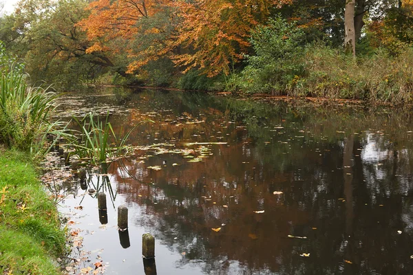 Rio e árvores de outono na margem — Fotografia de Stock