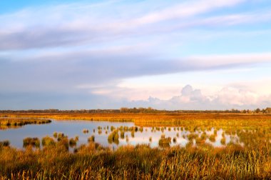 drenthe leekstermeer tarafından bölgede sular altında