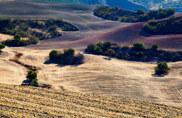 Beautiful Andalucia — Stock Photo, Image