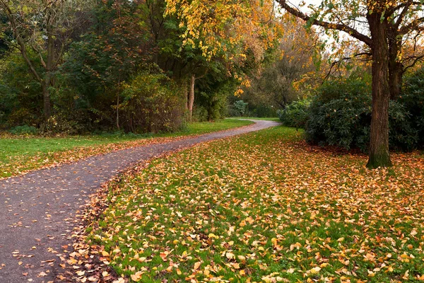 Narrow path in autumn park — Stock Photo, Image