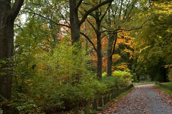 Herbstfarben — Stockfoto