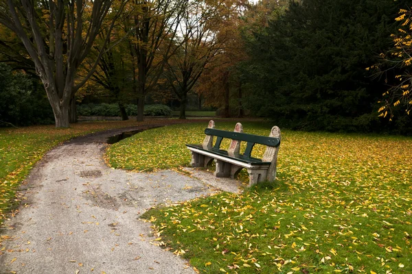 Útulné lavička v podzimním parku — Stock fotografie