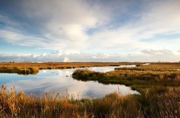 Lago selvaggio al mattino presto — Foto Stock