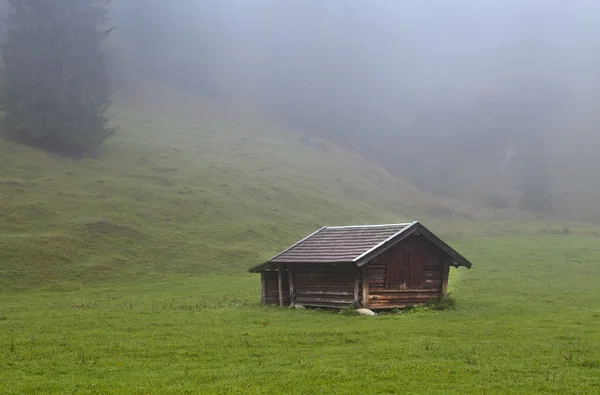 Wooden hut on alpine meadows