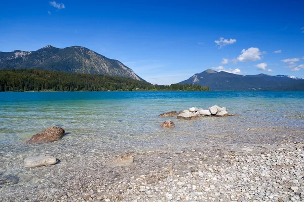 巴伐利亚薰衣草 walchensee — 图库照片