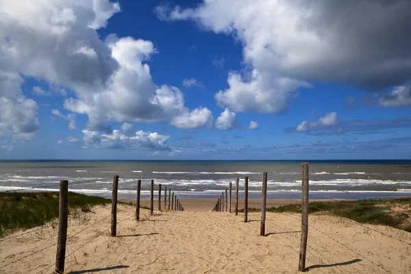 ザント フォールト aan zee の北海のビーチへのパス — ストック写真