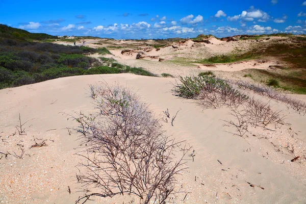 Песчаные дюны бу Зандвоорт ан Зее — стоковое фото