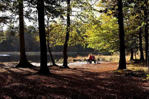 Par avkopplande i höst skog — Stockfoto