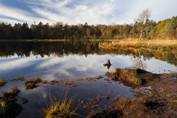 Lagoa e floresta no outono — Fotografia de Stock