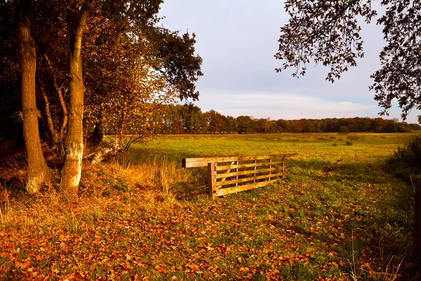 Typiska holländska landskapet — Stockfoto