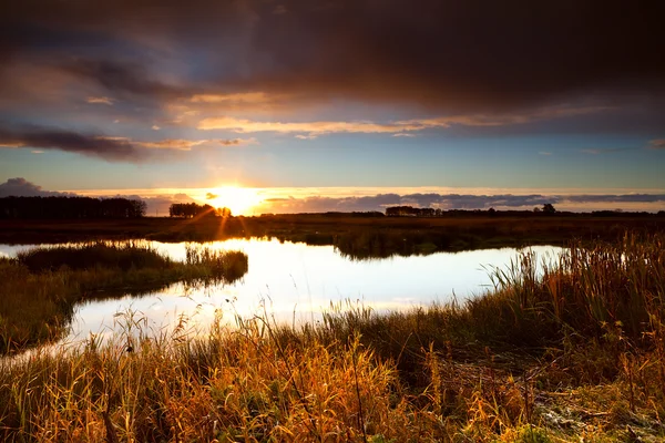 Sunrise vahşi göl üzerinde güneşe — Stok fotoğraf