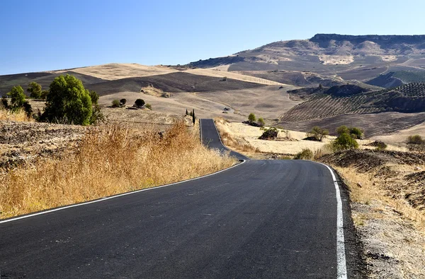 Asphalt road in Andalucia — Stock Photo, Image