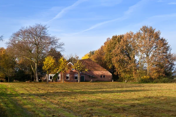 Ferme typiquement néerlandaise en automne — Photo