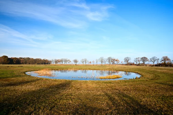 Pequena lagoa redonda — Fotografia de Stock