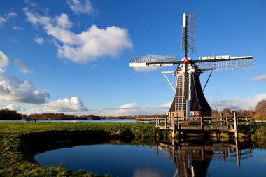 büyüleyici Hollanda Yeldeğirmeni